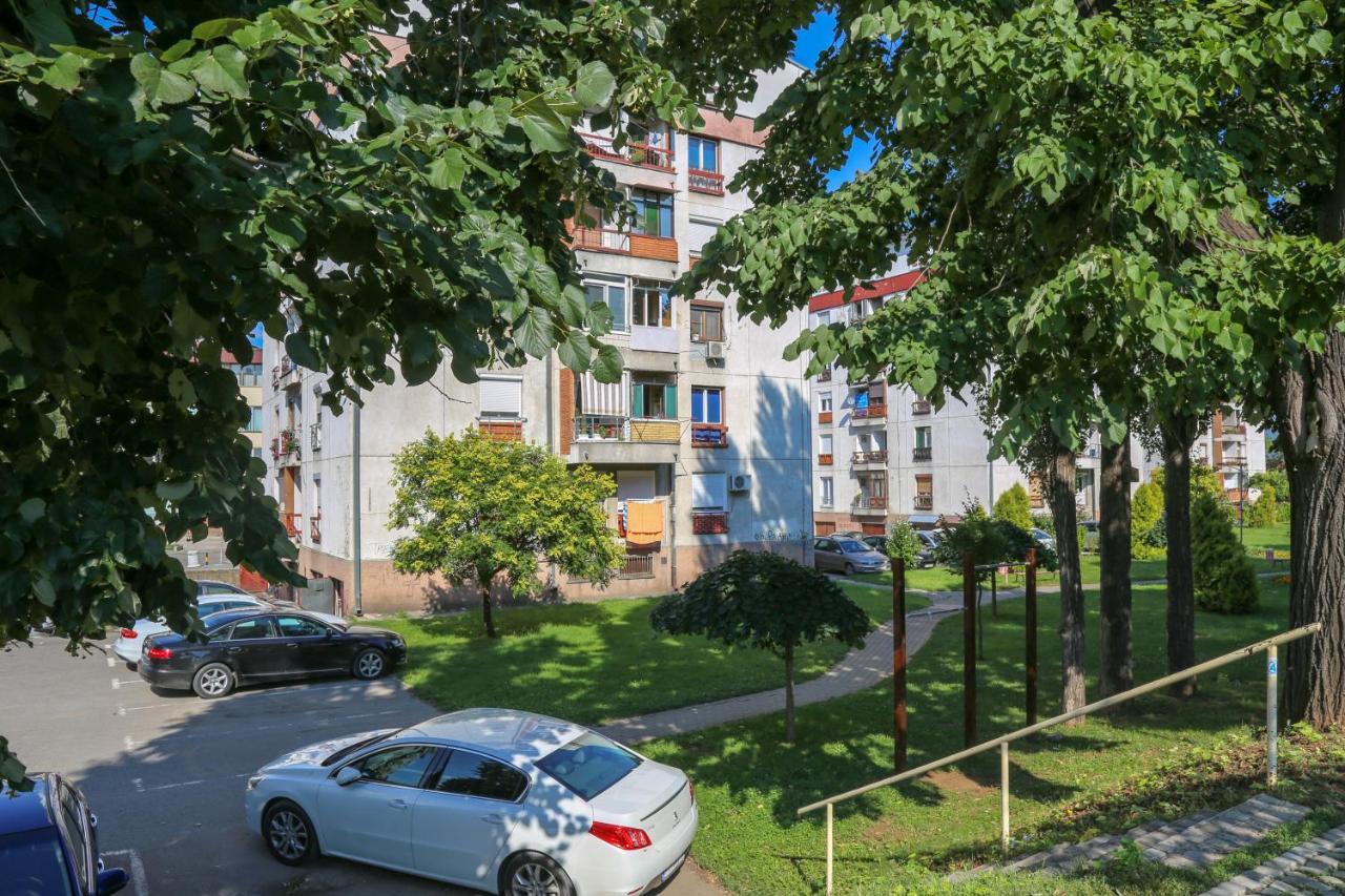 Apartman Marija Apartment Pirot Exterior photo